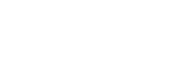 Investor 12