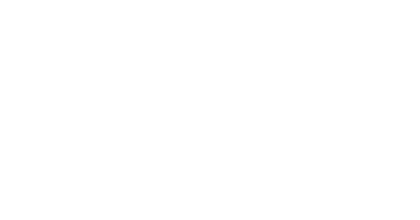 Investor 22