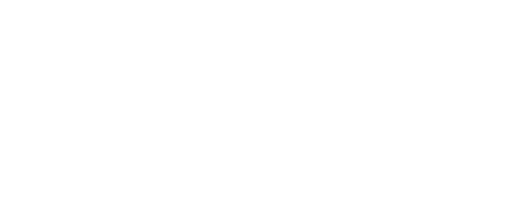 Investor 23